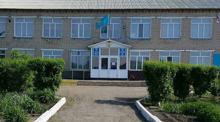 Картинка колледжа