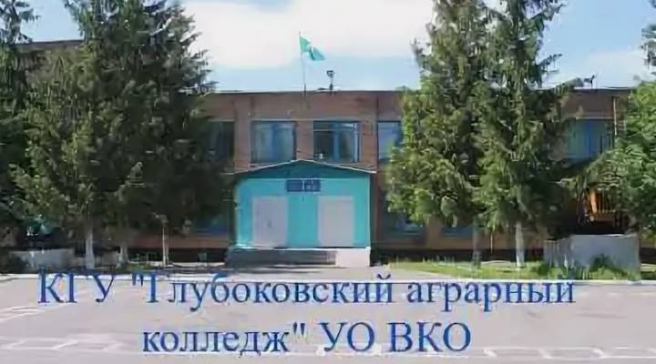 Картинка колледжа
