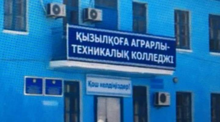 Картинка колледжа
